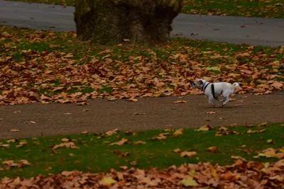 DSC_0671 (Large).JPG